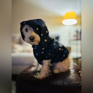 NWT GAP dog raincoat!